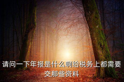 請(qǐng)問(wèn)一下年報(bào)是什么啊給稅務(wù)上都需要交那些資料