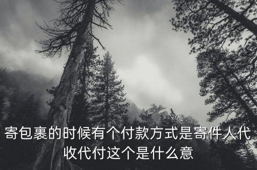 寄包裹的時(shí)候有個(gè)付款方式是寄件人代收代付這個(gè)是什么意