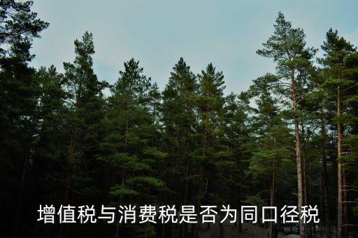 稅收可比口徑什么意思，稅收比重什么意思