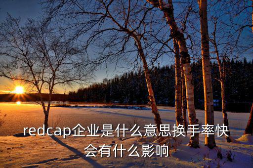 大企業(yè)局是什么意思，廣東省地稅網(wǎng)上的財(cái)務(wù)報(bào)表中的大企業(yè)局?jǐn)?shù)據(jù)報(bào)送是指什么