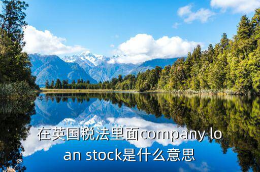 英國(guó)出國(guó)稅 是什么意思，在英國(guó)稅法里面company loan stock是什么意思