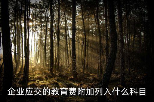 教育費附加干什么，教育費附加代表什么意思