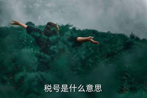 納稅號(hào)碼是什么意思，稅號(hào)是什么意思