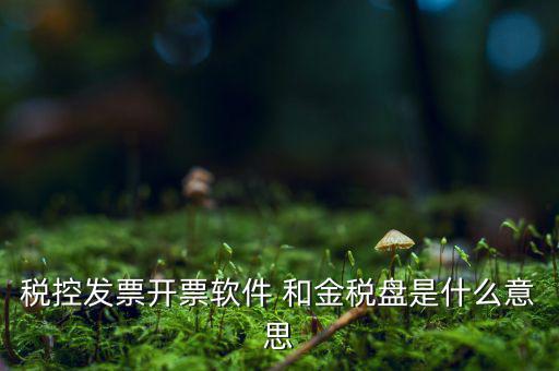 稅控系統(tǒng)指什么，稅控發(fā)票開票軟件 和金稅盤是什么意思