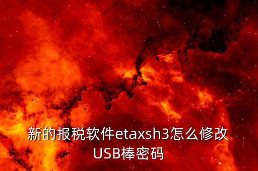 新的報稅軟件etaxsh3怎么修改USB棒密碼