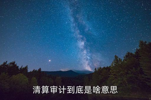 什么是申報清冊，電子稅務(wù)廳的重新獲取申報清冊是什么意思