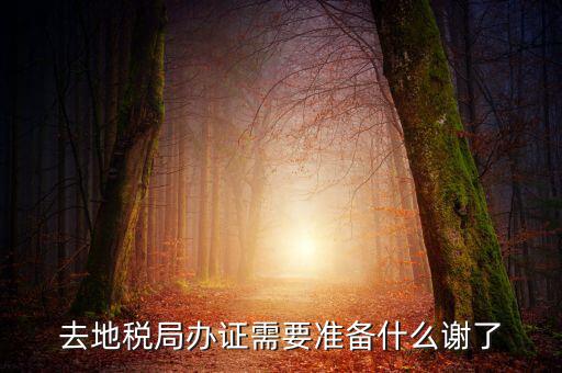 地稅局辦理什么，地稅局開(kāi)發(fā)票需要辦什么手續(xù)