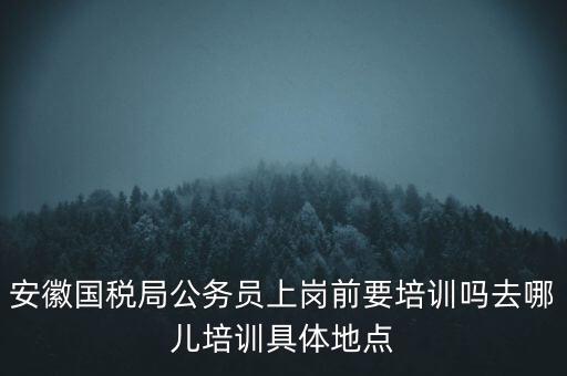 安徽國稅什么時候培訓(xùn)，安徽省稅務(wù)學(xué)校還在嗎那里的教學(xué)樓宿舍和操場都還在嗎沒被拆