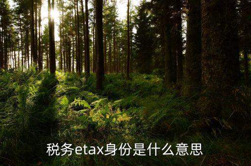 稅務(wù)信息化管理師是什么意思，稅務(wù)etax身份是什么意思