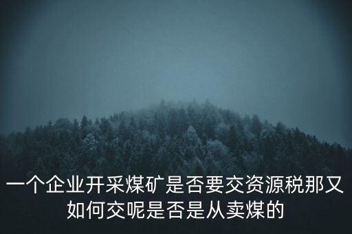 一個(gè)企業(yè)開(kāi)采煤礦是否要交資源稅那又如何交呢是否是從賣(mài)煤的