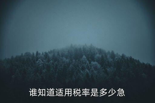 誰(shuí)知道適用稅率是多少急