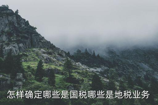 業(yè)務(wù)地稅是什么，地稅申報(bào)中業(yè)務(wù)種類是什么