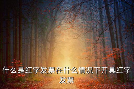 什么是紅字發(fā)票在什么情況下開具紅字發(fā)票