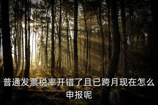 普通發(fā)票稅率開錯了且已跨月現(xiàn)在怎么申報呢