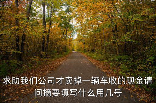 求助我們公司才賣掉一輛車收的現(xiàn)金請(qǐng)問(wèn)摘要填寫(xiě)什么用幾號(hào)