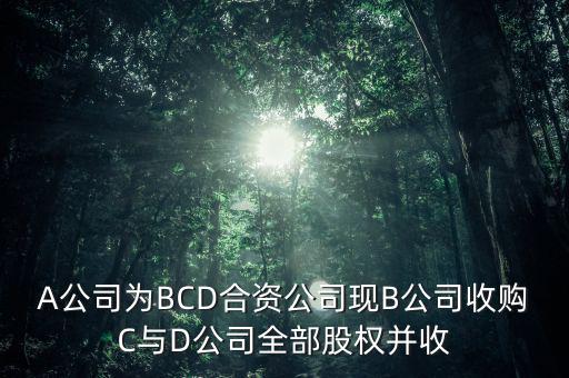 A公司為BCD合資公司現(xiàn)B公司收購C與D公司全部股權并收