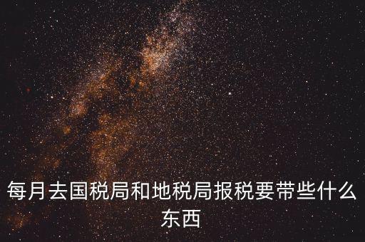 國稅大廳報稅需要什么，你好請教你一下如果我去國稅大廳報稅的話都需要帶什么東西填