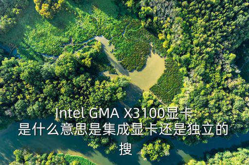 國(guó)稅集成理念是什么意思，Intel GMA X3100顯卡 是什么意思是集成顯卡還是獨(dú)立的  搜