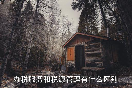 什么是辦稅服務(wù)廳，辦稅服務(wù)和稅源管理有什么區(qū)別