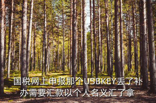 稅務(wù)ukey是什么意思，國稅網(wǎng)上申報那個USBKEY丟了補(bǔ)辦需要匯款以個人名義匯了拿