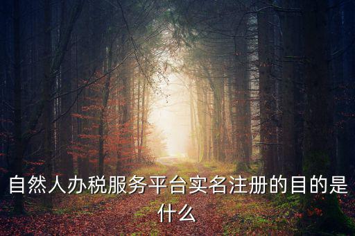 自然人辦稅服務(wù)平臺(tái)實(shí)名注冊的目的是什么