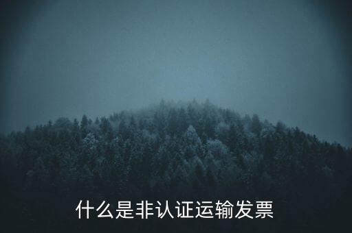 運(yùn)輸票是什么，運(yùn)輸發(fā)票是普通發(fā)票嗎