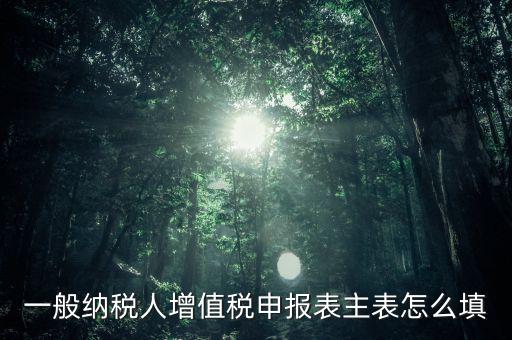 一般納稅人主表是什么，一般納稅人增值稅申報(bào)表主表怎么填