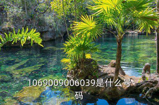 10699999是什么號碼，1069009006039是什么號碼