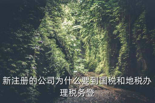 新注冊(cè)的公司為什么要到國(guó)稅和地稅辦理稅務(wù)登