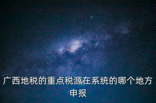 廣西地稅的重點(diǎn)稅源在系統(tǒng)的哪個(gè)地方申報(bào)