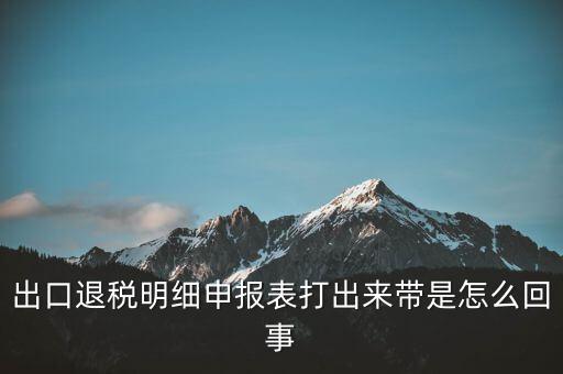 出口退稅明細申報表打出來帶是怎么回事