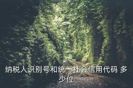 納稅人識別號和統(tǒng)一社會信用代碼 多少位