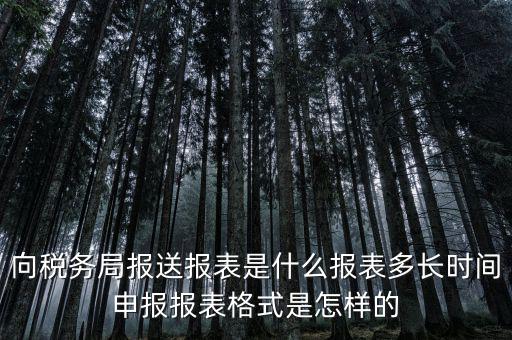 向稅務局報送報表是什么報表多長時間申報報表格式是怎樣的