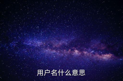 微稅用戶名是什么意思啊，用戶名什么意思