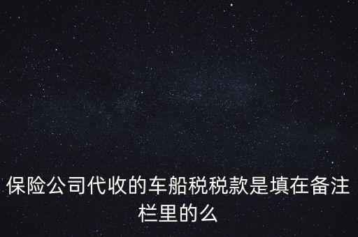 保險公司代收的車船稅稅款是填在備注欄里的么