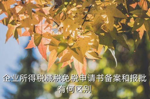 企業(yè)所得稅減稅免稅申請(qǐng)書備案和報(bào)批有何區(qū)別