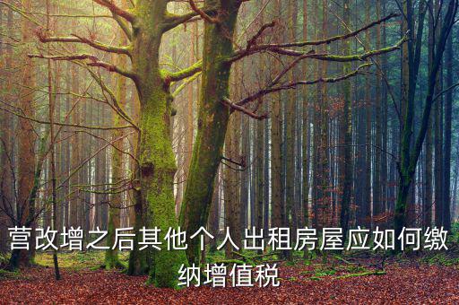 營(yíng)改增之后其他個(gè)人出租房屋應(yīng)如何繳納增值稅