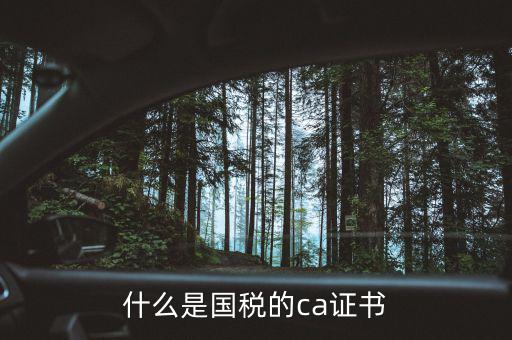 ca稅務(wù)數(shù)字證書是什么，什么是國(guó)稅的ca證書