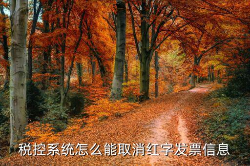 撤銷紅字信息表需要什么，我是購貨方開具紅字信息表錯(cuò)誤去稅務(wù)局撤銷信息表查看描寫