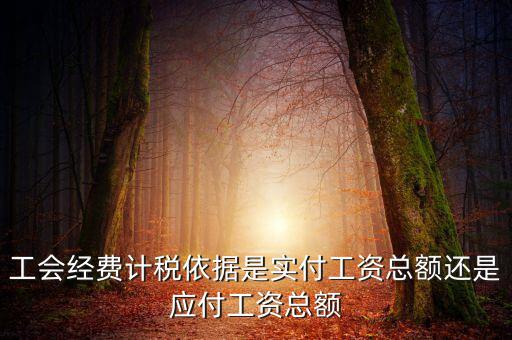 工會(huì)經(jīng)費(fèi)計(jì)稅依據(jù)是實(shí)付工資總額還是應(yīng)付工資總額