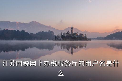 網(wǎng)上辦稅平臺帳號是什么，地稅網(wǎng)上申報用什么帳號