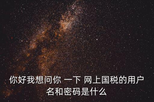 你好我想問(wèn)你 一下 網(wǎng)上國(guó)稅的用戶名和密碼是什么