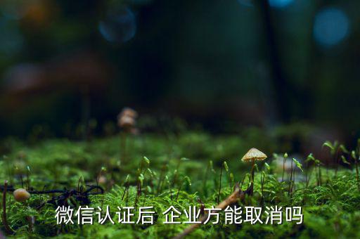 什么級別的企業(yè)可以取消認證，取消增值稅發(fā)票認證的納稅人有哪些