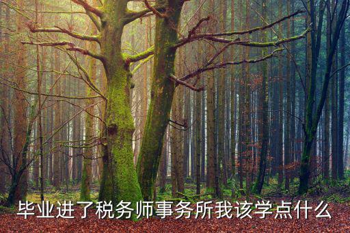 納稅人學堂講什么，稅務(wù)實務(wù)課講什么