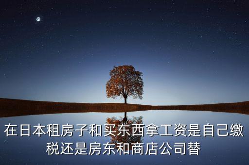 日本租稅法是什么稅，在日本租房子和買東西拿工資是自己繳稅還是房東和商店公司替