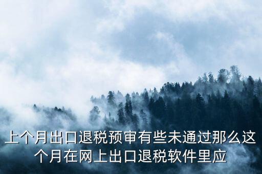 上個月出口退稅預(yù)審有些未通過那么這個月在網(wǎng)上出口退稅軟件里應(yīng)