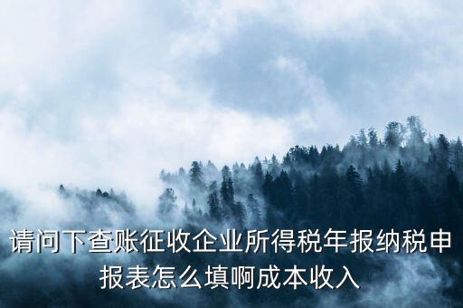 請問下查賬征收企業(yè)所得稅年報納稅申報表怎么填啊成本收入