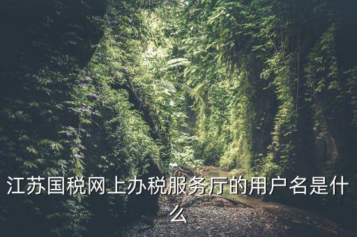 江蘇國(guó)稅網(wǎng)上辦稅服務(wù)廳的用戶名是什么