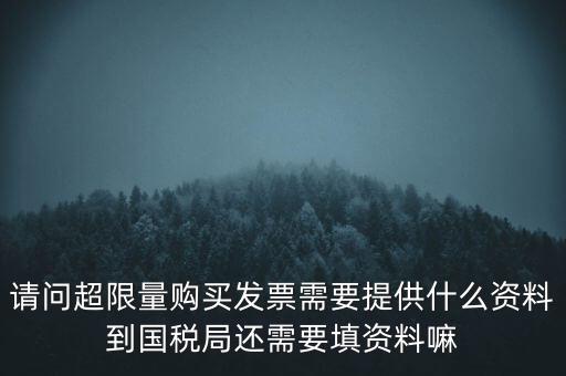 請(qǐng)問超限量購買發(fā)票需要提供什么資料到國稅局還需要填資料嘛