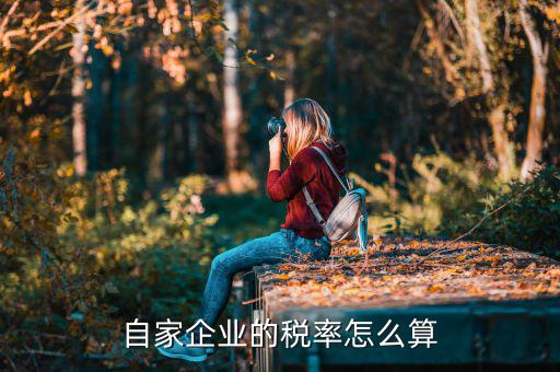 如何查詢(xún)公司稅率，想查一個(gè)公司的稅費(fèi)情況怎么查